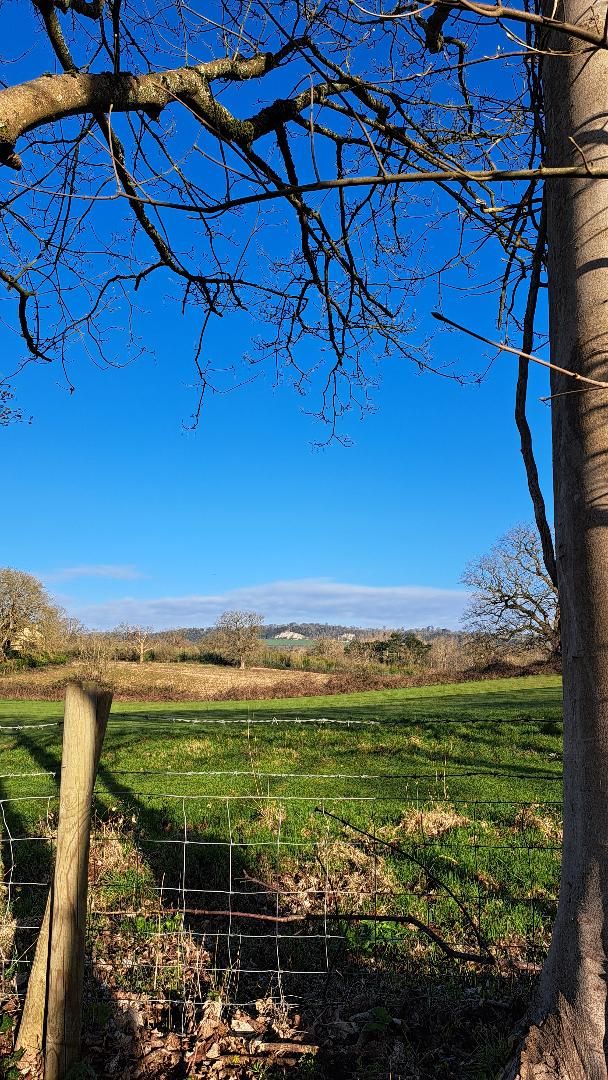 Towards the North Downs